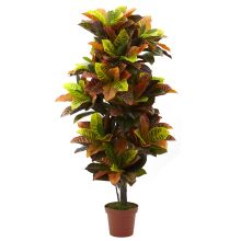 Artificial Croton Real Touch